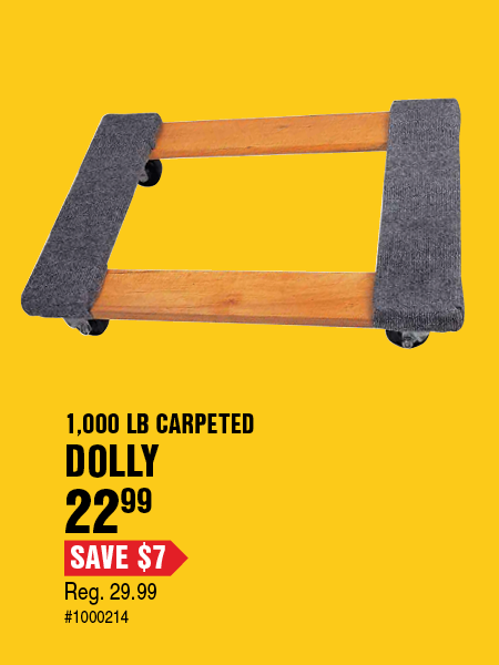 dolly